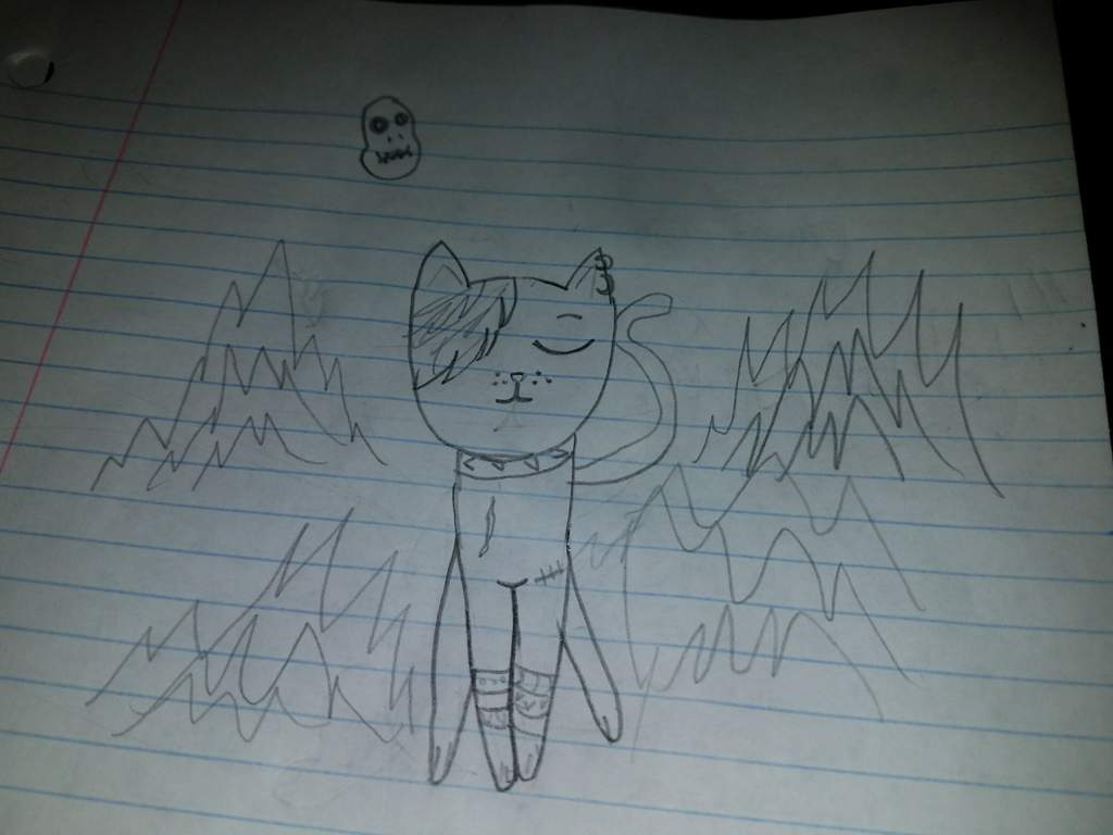 1024x768 My Emo Cat Cats Amino - Emo Cat Drawing