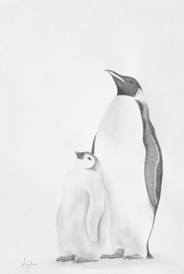605x900 emperor penguin drawing - Emperor Penguin Drawing