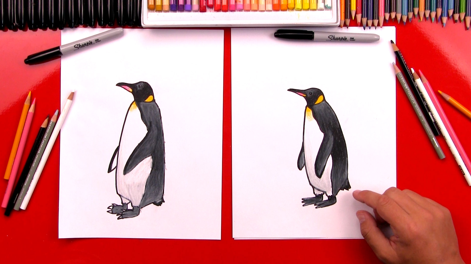 1915x1072 how to draw a realistic emperor penguin - Emperor Penguin Drawing