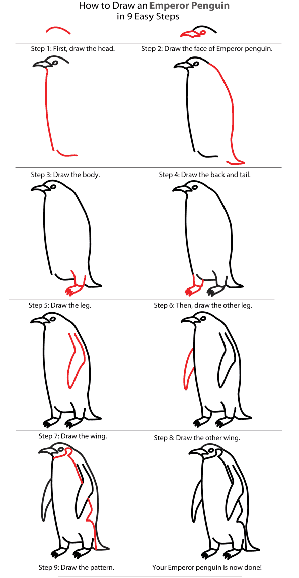 594x1146 how to draw an emperor penguin penguin place post - Emperor Penguin Drawing