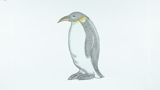 Emperor Penguin Drawing at PaintingValley.com | Explore collection of ...