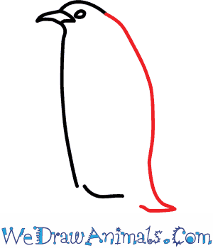 300x350 how to draw an emperor penguin - Emperor Penguin Drawing