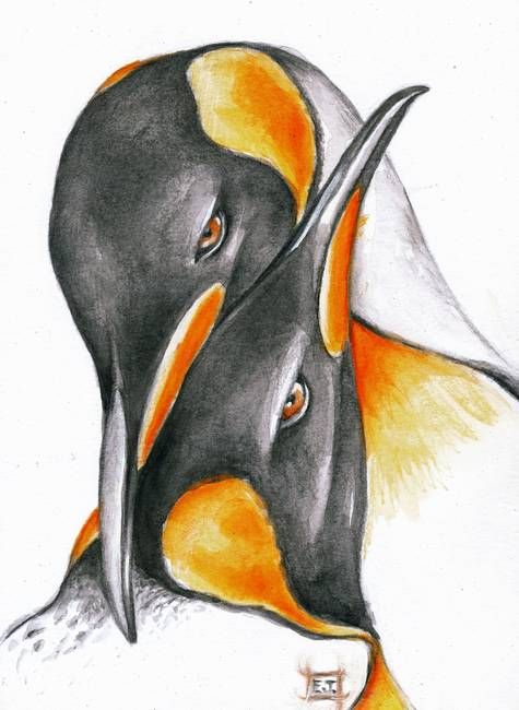 475x650 king emperor penguins - Emperor Penguin Drawing
