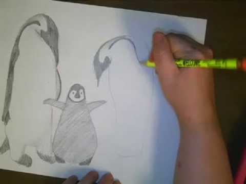 480x360 draw emperor penguins - Emperor Penguin Drawing