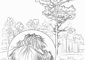 300x210 hawaii state tree coloring - Empire State Building Dimensions Drawing