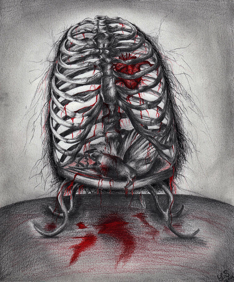 746x900 empty cage drawing - Empty Drawing