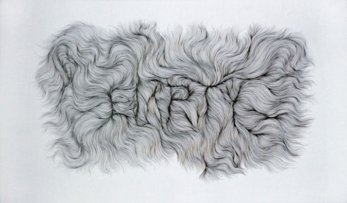 714x418 organs - Empty Drawing