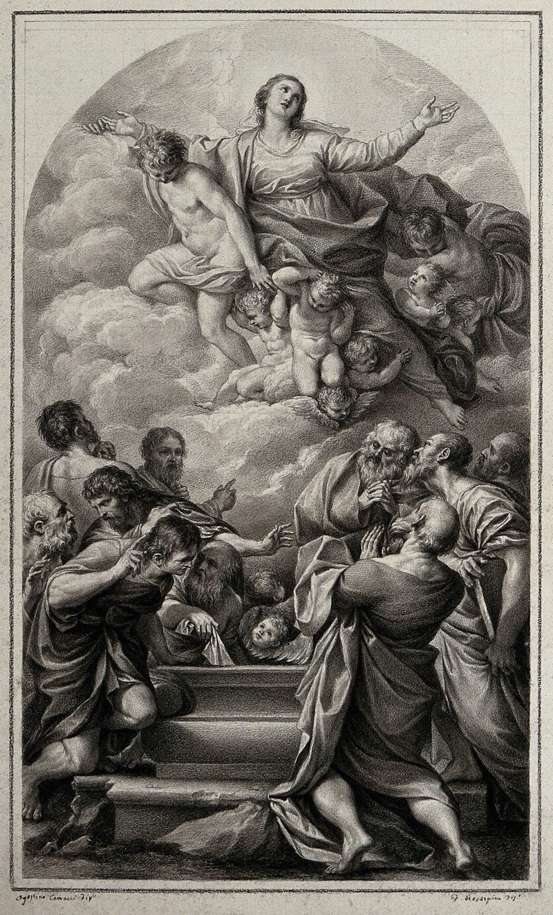 800x1323 The Assumption Of The Virgin Mary Below The Apostles Crowd Around - Empty Tomb Drawing