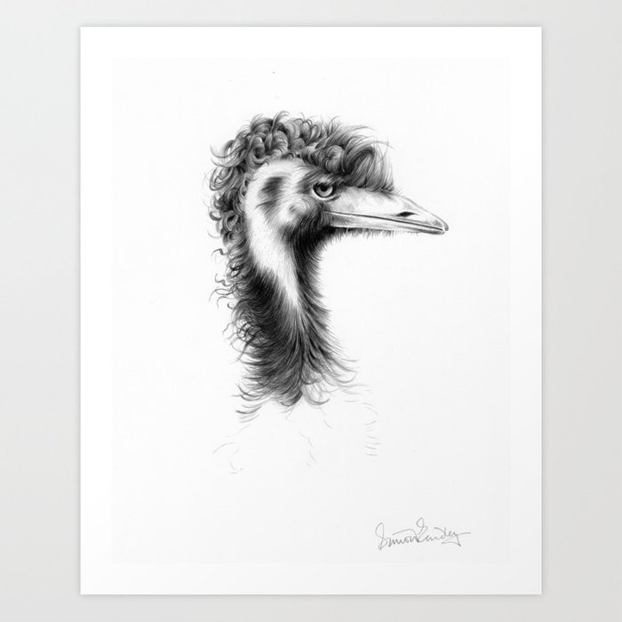 700x700 Emu Drawing Art Print - Emu Drawing