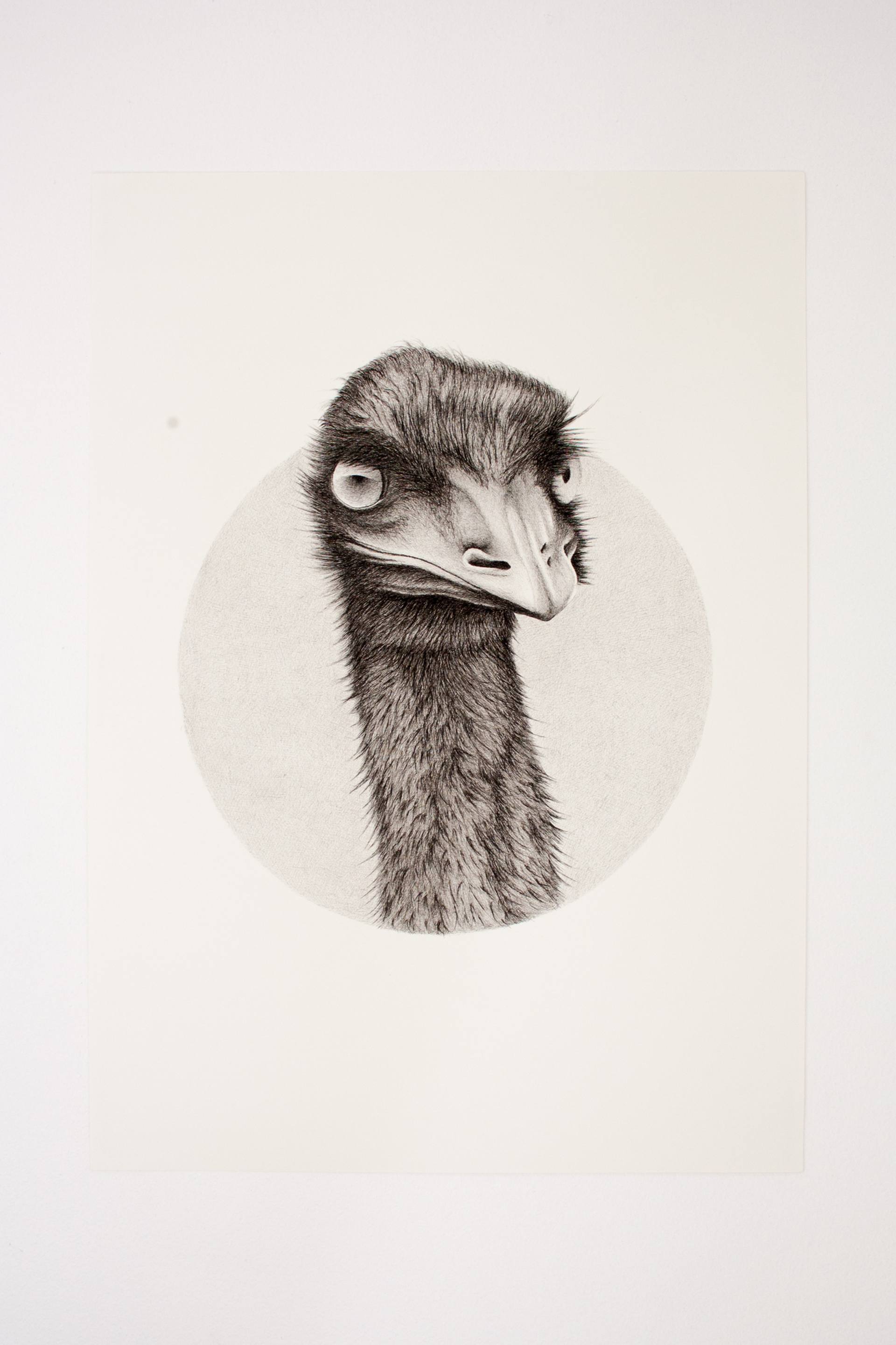 1920x2881 Emu Drawing - Emu Drawing