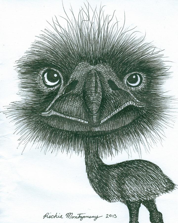 720x900 Emu Drawing - Emu Drawing