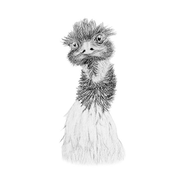 630x630 Endurance Emu - Emu Drawing