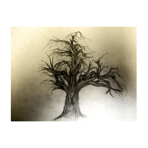 300x300 Enchanted Drawing - Enchanted Drawing