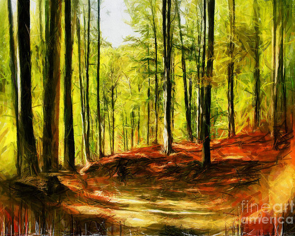 600x480 Enchanted Forest - Enchanted Forest Drawing