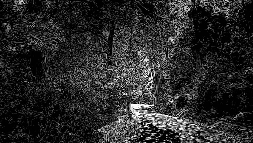 852x480 Enchanted Forest A Storming Stock Footage Video - Enchanted Forest Drawing