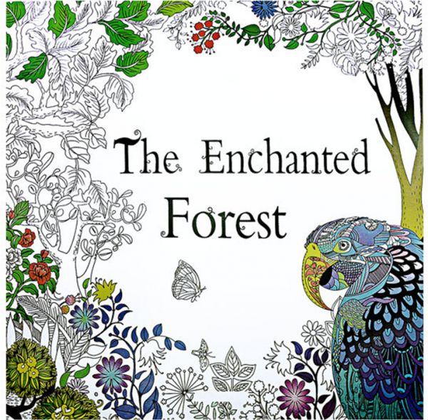 600x590 Pages Enchanted Forest English Edition Coloring Book - Enchanted Forest Drawing Book