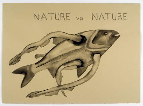 480x359 sue johnson early work lost encyclopedia drawings - Encyclopedia Drawings