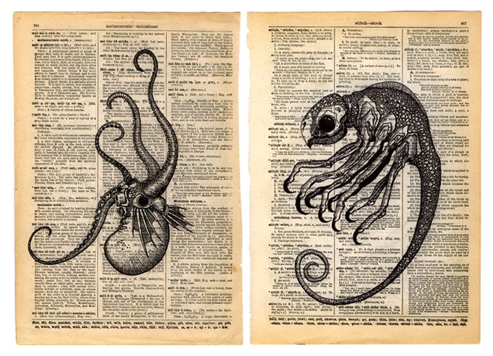 720x520 encyclopedia drawings - Encyclopedia Drawings