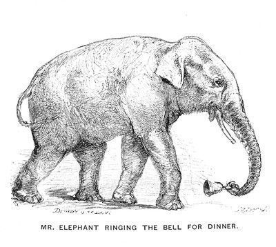 400x358 old encyclopedia illustrations - Encyclopedia Drawings