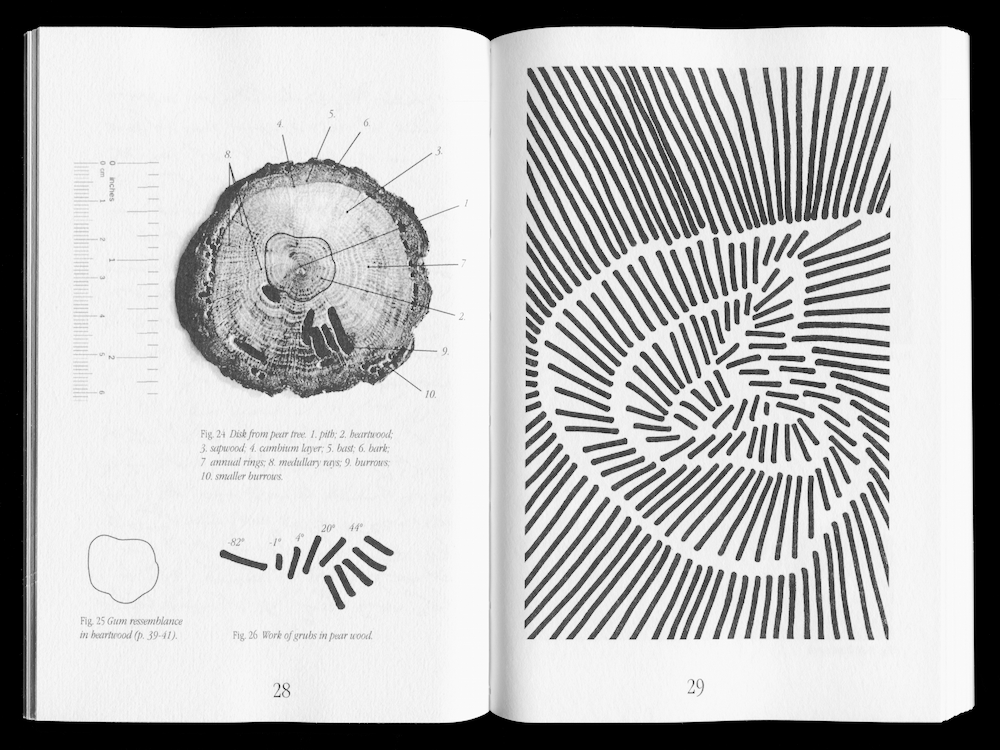 1000x750 the - Encyclopedia Drawings