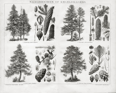 400x321 turning pages encyclopedic drawings - Encyclopedia Drawings