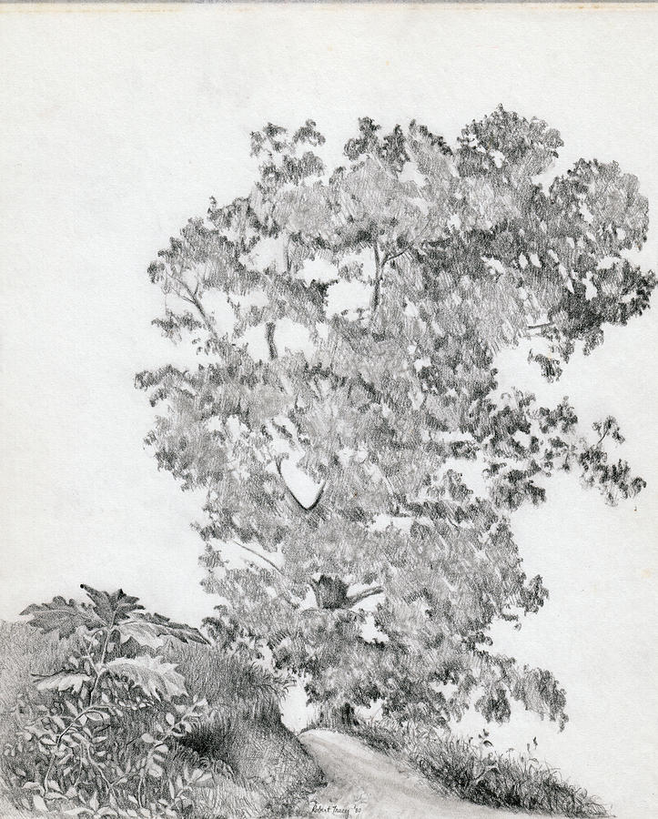 723x900 The World's End Drawing - End Of The World Drawing