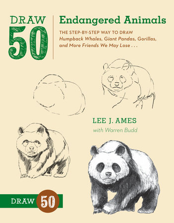 351x450 Draw Endangered Animals - Endangered Animals Drawing