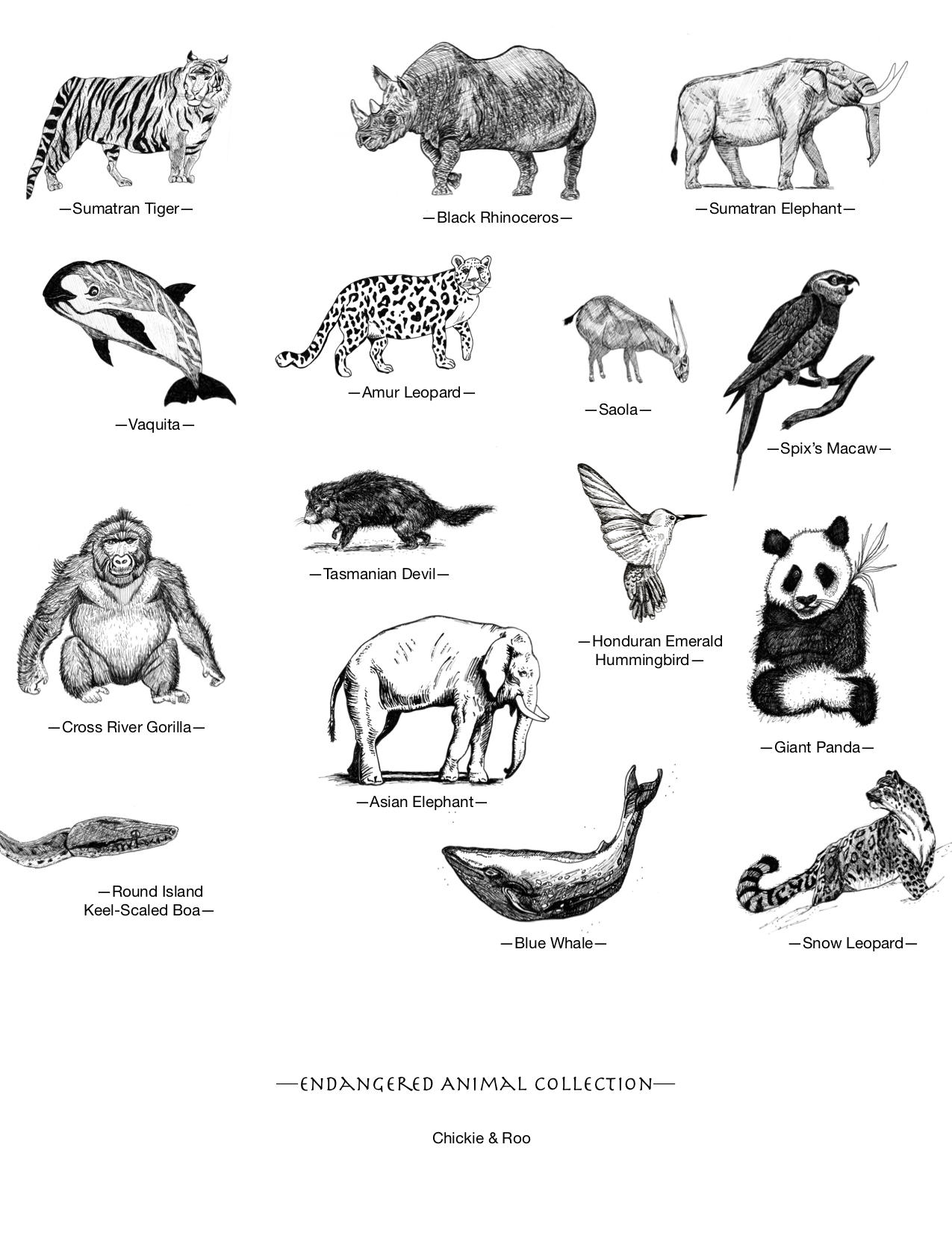 Картинки животных других стран