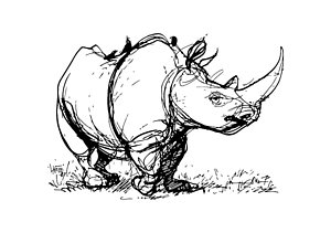 300x211 Endangered Drawings Fine Art America - Endangered Animals Drawing