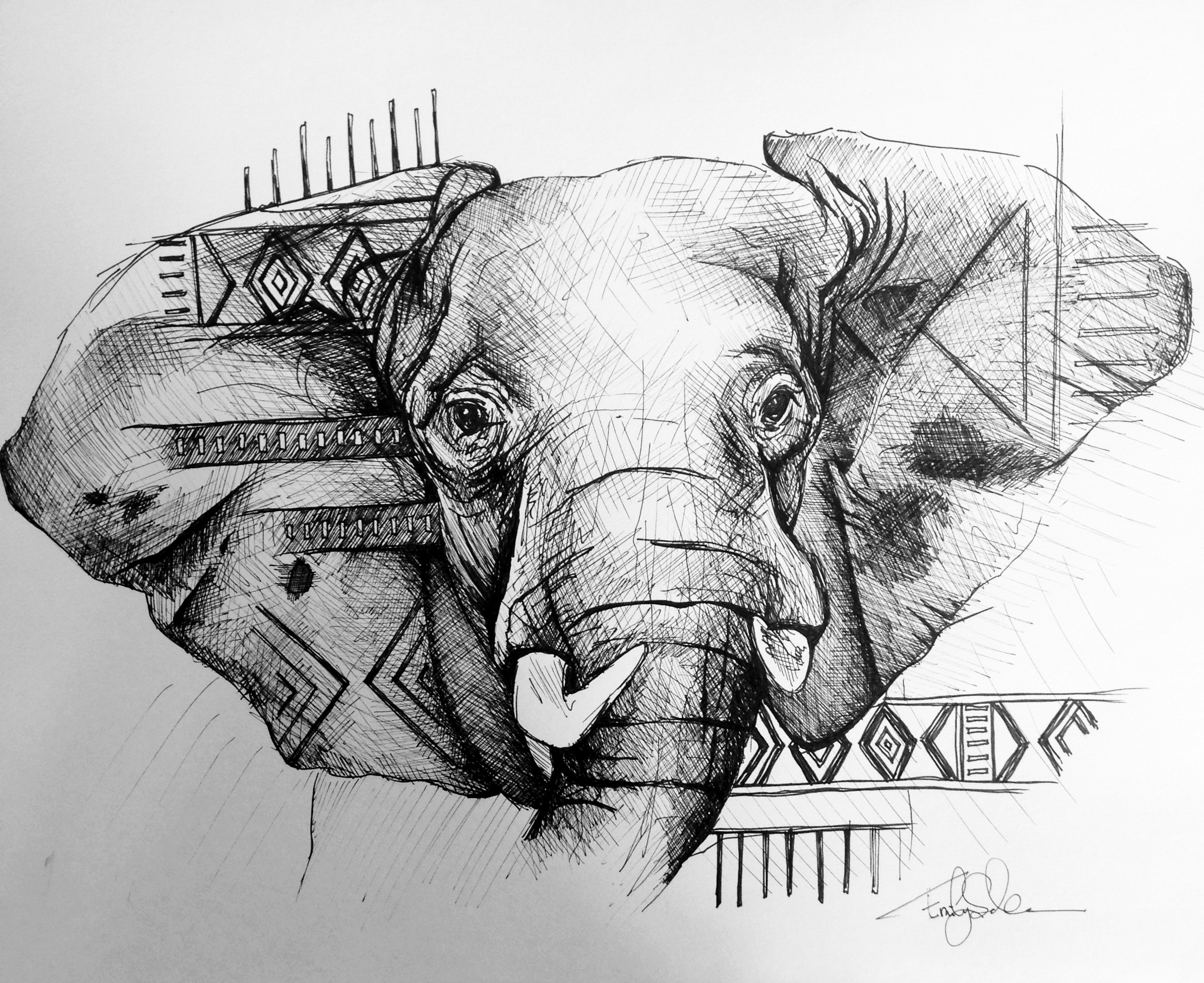 Endangered Animals Drawing at Explore collection