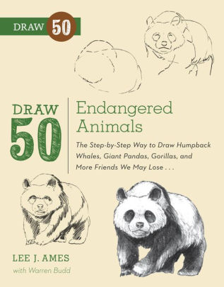 317x406 Draw Endangered Animals The Step - Endangered Animals Drawing