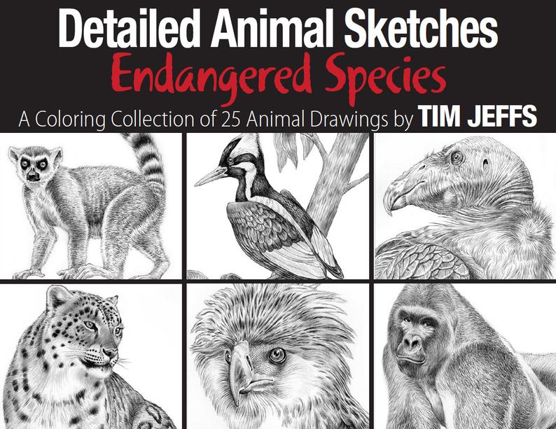 794x613 Detailed Animal Sketches Endangered Species A Coloring Etsy - Endangered Species Drawing
