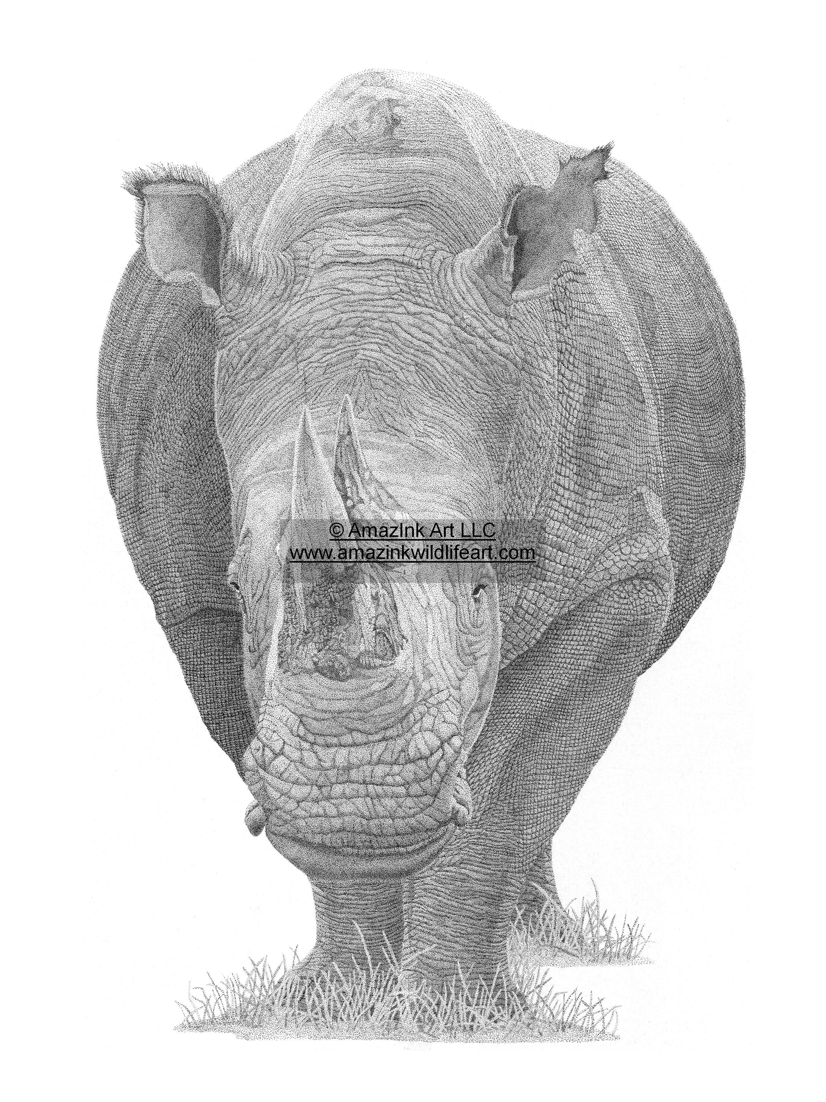 2700x3600 Drawings Tagged Endangered Species - Endangered Species Drawing