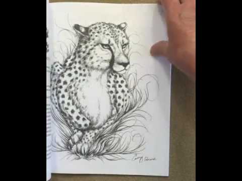 480x360 Endangered Species Coloring Book Of Endangered Species Around - Endangered Species Drawing