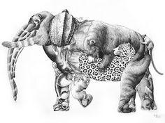236x177 Best Endangered Species Images Endangered Species, Animal - Endangered Species Drawing