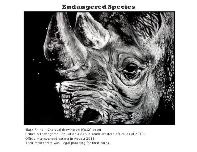 638x493 Endangered Species Fine Art Drawings - Endangered Species Drawing