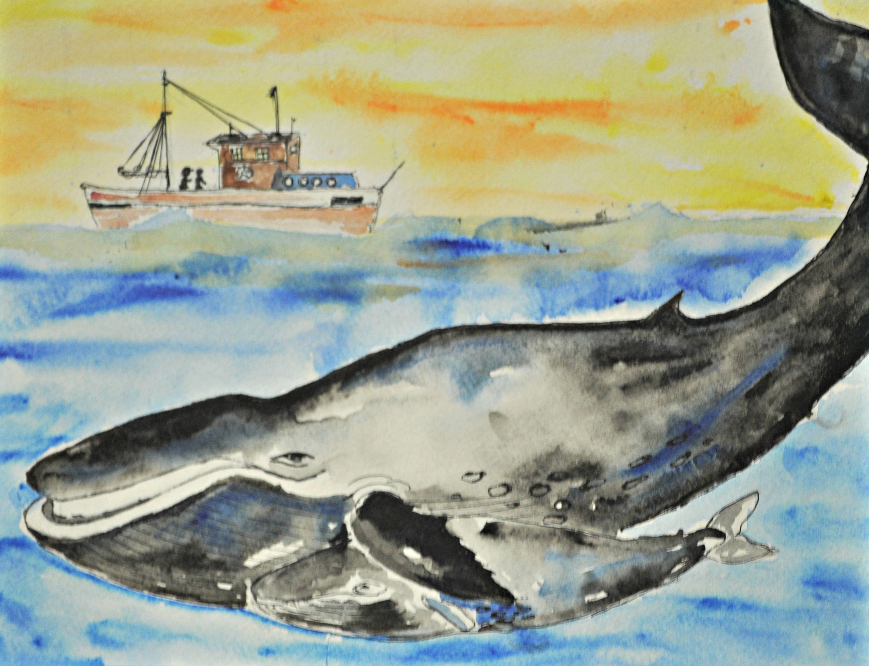 3047x2336 Youth Art Contest - Endangered Species Drawing