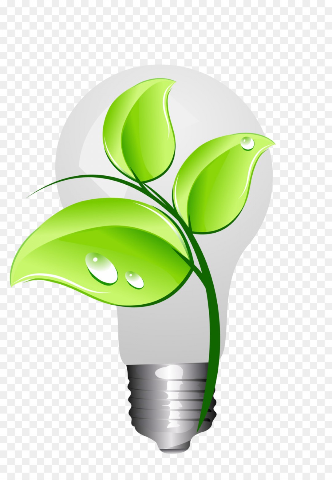 1080x1560 png energy conservation animation drawing vector green soidergi - Energy Drawing