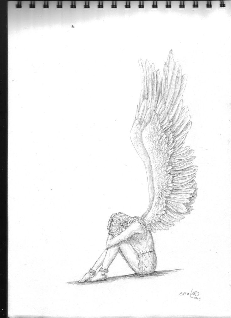 736x1012 engel - Engel Drawing