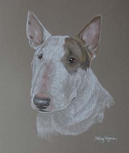 254x300 Bull Terrier Pictures Paintings And Portraits Plus Dog Breed - English Bull Terrier Drawing