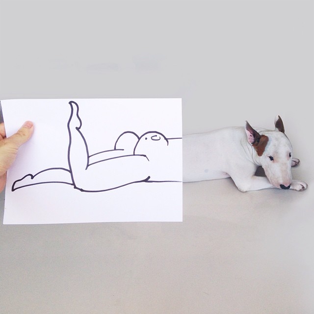 640x640 dog owner creates fun illustrations with his bull terrier bored - English Bull Terrier Drawing