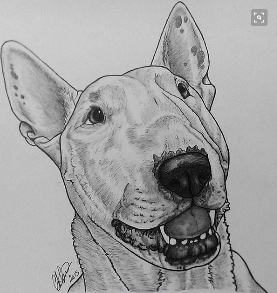1170x1237 Doggie Stuff Bull Terrier Tattoo - English Bull Terrier Drawing