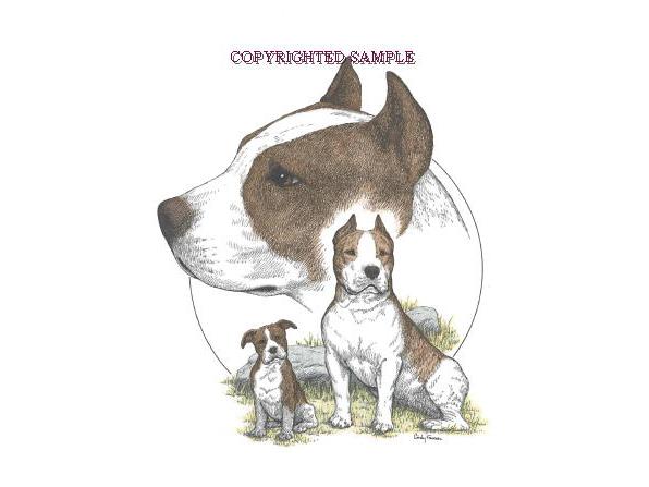 596x447 pit bull terrier trio image drawing - English Bull Terrier Drawing