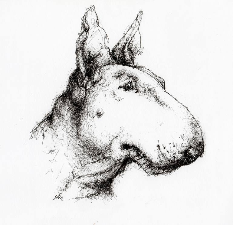 English Bull Terrier Drawing at Explore collection