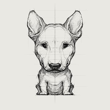 360x360 Bull Terrier Pencil Drawing Photographic Print - English Bull Terrier Drawing
