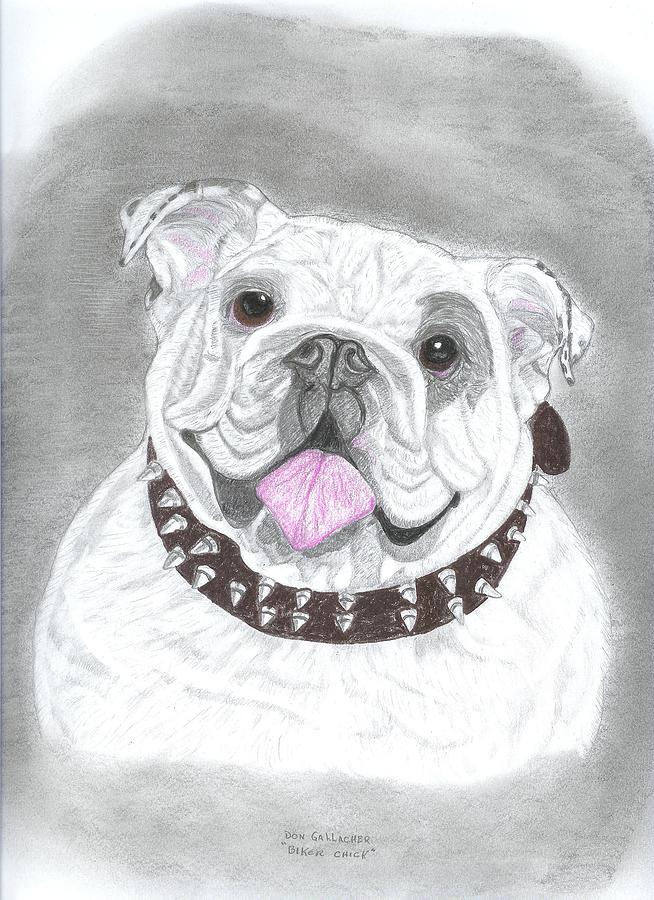 654x900 english bulldog drawing - English Bulldog Drawing