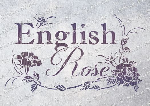 526x372 English Rose - English Rose Drawing