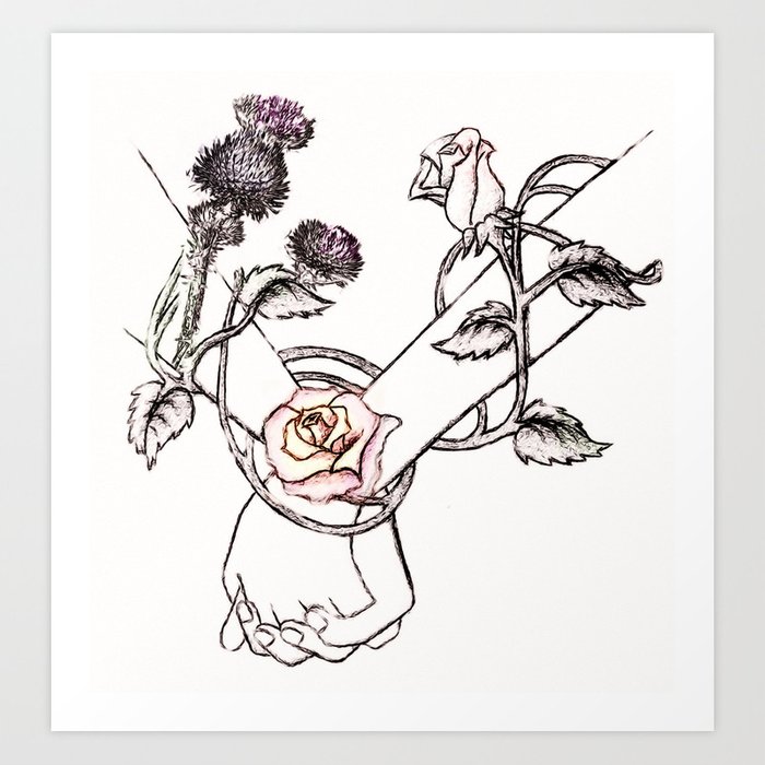 700x700 English Rose And Scottish Thistle Art Print - English Rose Drawing