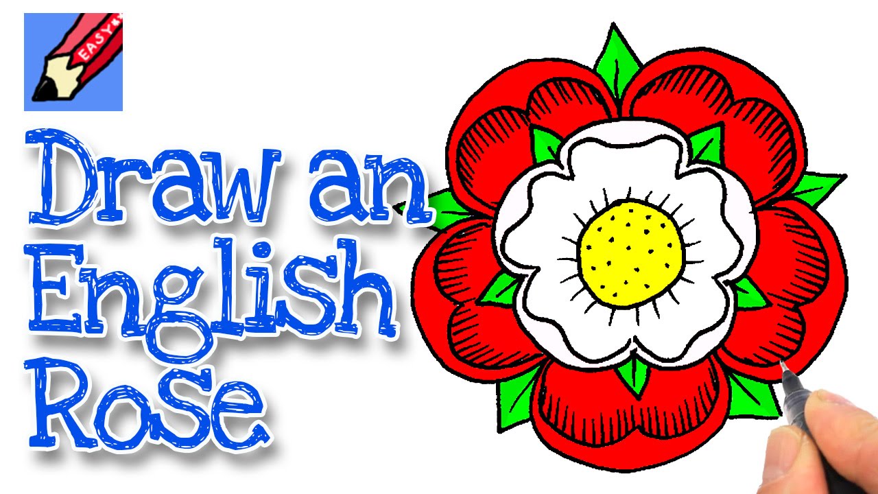 1280x720 How To Draw An English Rose Real Easy - English Rose Drawing