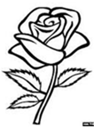 368x500 M S Glass - English Rose Drawing